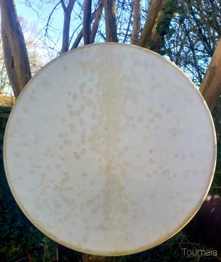 Tambour chamanique en peau de Chèvre et bois de Hêtre Tambour chamanique en peau de Chèvre et bois de Hêtre