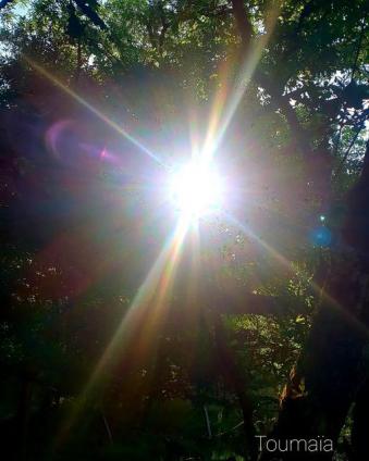 Célébration chamanique du solstice en forêt des Landes
