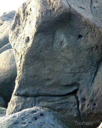Rencontre avec un vénérable gardien de l'Océan, lors d'un voyage chamanique en terre Atlante