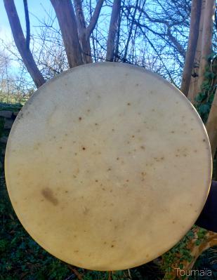 Tambour chamanique en peau de Cerf et bois de Chêne Tambour chamanique en peau de Cerf et bois de Chêne