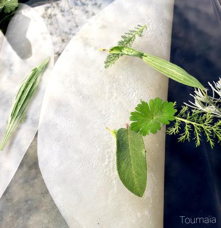 Fabrication rituelle d'un tambour Médecine : riituel de la peau immergée dans l'eau Fabrication rituelle d'un tambour Médecine : riituel de la peau immergée dans l'eau