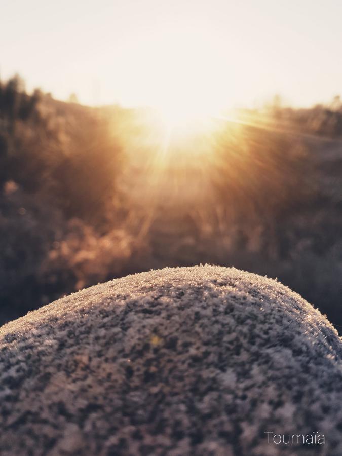 Stages de chamanisme et voyages chamaniques : Le soleil levant, Esprit de l'Est